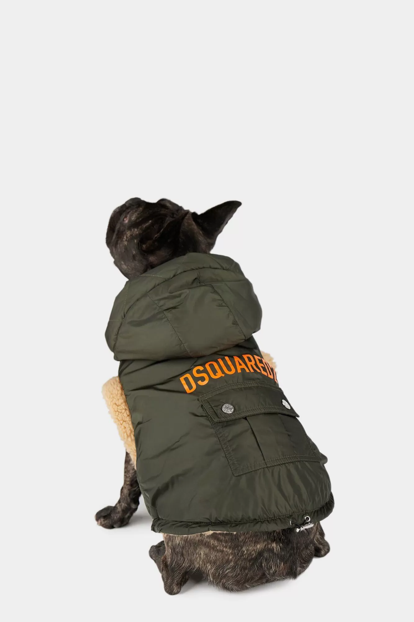 Poldo X D2 Edmonton Dog Outwear<Dsquared2 Cheap